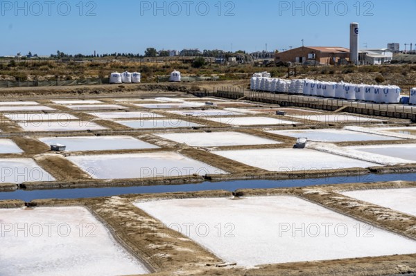 Salt production on the Algarve coast in Portugal, 95 per cent of Portuguese sea salt is extracted here, salt pans near Vila Real de Santo António, Flor de Sal production