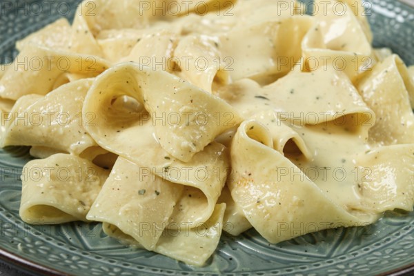 Pasta papardelle in creamy garlic sauce, traditional Italian cuisine, pasta carbonara, homemade, no people