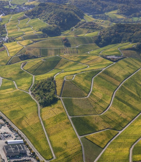 Aerial photo, wine-growing region Moselle Luxembourg, vineyards, Wellenstein, Saarland, Grevenmacher, Luxembourg, Europe, birds-eyes view, aerial photography, aerial photography, overview, overview, bird's eye view