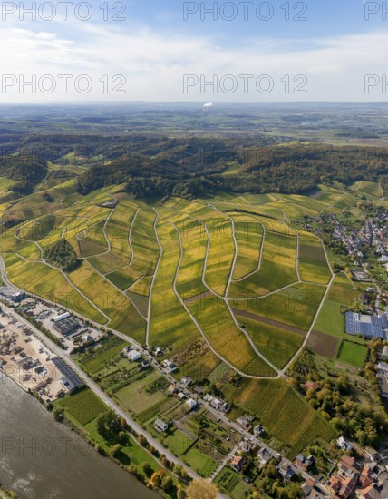 Aerial photo, wine-growing region Moselle Luxembourg, vineyards, Wellenstein, Saarland, Grevenmacher, Luxembourg, Europe, birds-eyes view, aerial photography, aerial photography, overview, overview, bird's eye view