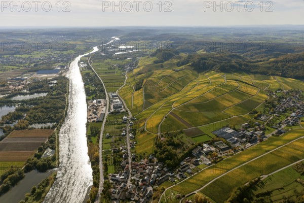 Aerial photo, wine-growing region Moselle Luxembourg, vineyards, Wellenstein, Saarland, Grevenmacher, Luxembourg, Europe, birds-eyes view, aerial photography, aerial photography, overview, overview, bird's eye view