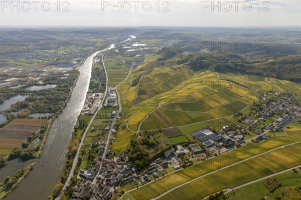Aerial photo, wine-growing region Moselle Luxembourg, vineyards, Wellenstein, Saarland, Grevenmacher, Luxembourg, Europe, birds-eyes view, aerial photography, aerial photography, overview, overview, bird's eye view