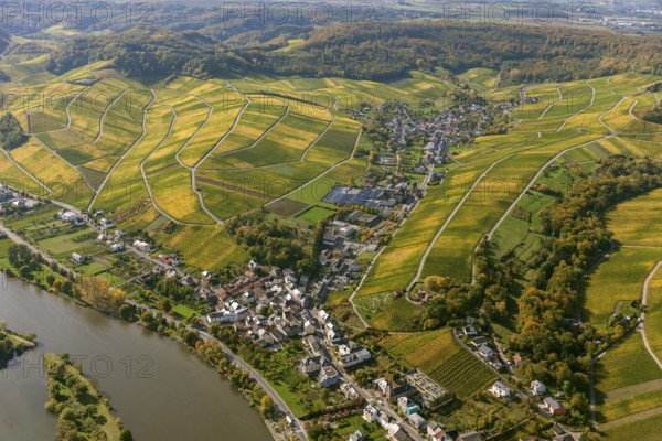 Aerial photo, wine-growing region Moselle Luxembourg, vineyards, Remich, Saarland, Grevenmacher, Luxembourg, Europe, birds-eyes view, aerial photography, aerial photography, overview, overview, bird's eye view