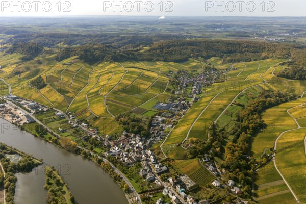 Aerial photo, wine-growing region Moselle Luxembourg, vineyards, Remich, Saarland, Grevenmacher, Luxembourg, Europe, birds-eyes view, aerial photography, aerial photography, overview, overview, bird's eye view