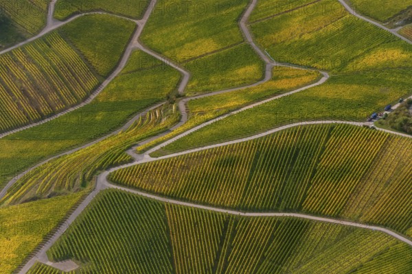 Aerial photo, wine-growing region Moselle Luxembourg, vineyards, Wellenstein, Saarland, Grevenmacher, Luxembourg, Europe, birds-eyes view, aerial photography, aerial photography, overview, overview, bird's eye view