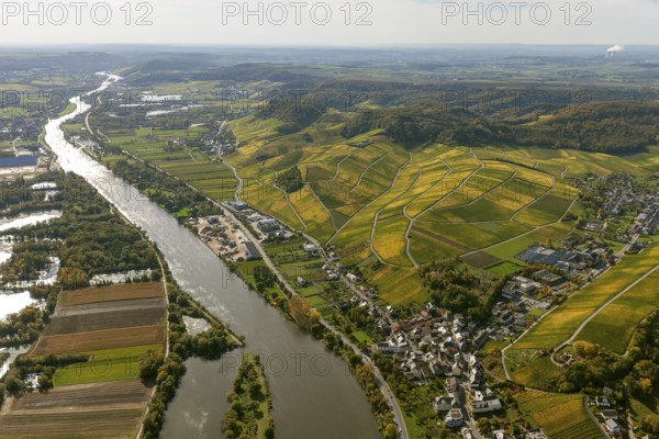 Aerial photo, wine-growing region Moselle Luxembourg, vineyards, Remich, Saarland, Grevenmacher, Luxembourg, Europe, birds-eyes view, aerial photography, aerial photography, overview, overview, bird's eye view