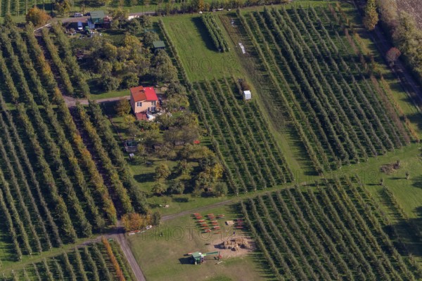 Aerial photo, vineyards, Merzig, Saarland, Germany, Europe, birds-eyes view, aerial photography, aerial photography, overview, overview, bird's eye view