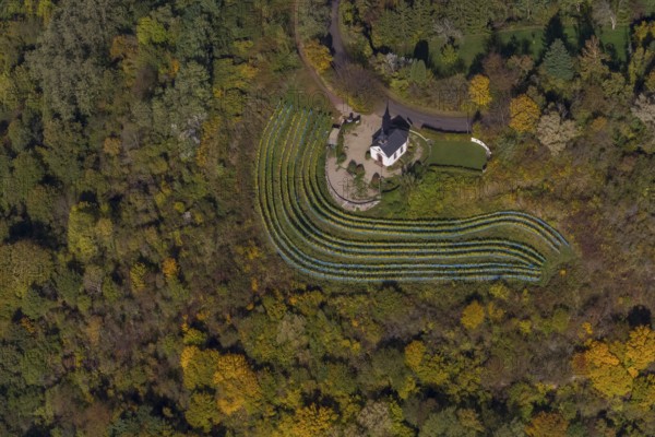 Aerial view, chapel at Ellerweg, vineyard, Merzig, Saarland, Germany, Europe, birds-eyes view, aerial photography, aerial photography, overview, bird's eye view