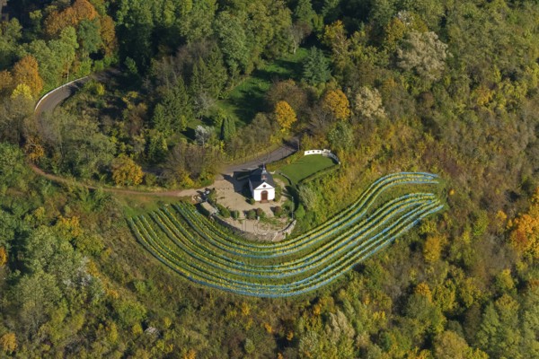 Aerial view, chapel at Ellerweg, vineyard, Merzig, Saarland, Germany, Europe, birds-eyes view, aerial photography, aerial photography, overview, bird's eye view