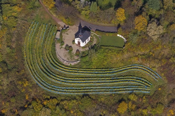Aerial view, chapel at Ellerweg, vineyard, Merzig, Saarland, Germany, Europe, birds-eyes view, aerial photography, aerial photography, overview, bird's eye view