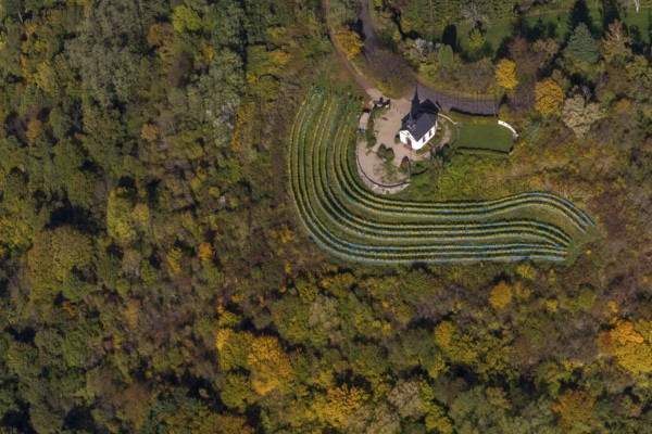 Aerial view, chapel at Ellerweg, vineyard, Merzig, Saarland, Germany, Europe, birds-eyes view, aerial photography, aerial photography, overview, bird's eye view