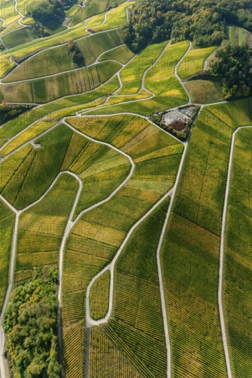 Aerial photo, wine-growing region Moselle Luxembourg, vineyards, Wellenstein, Saarland, Grevenmacher, Luxembourg, Europe, birds-eyes view, aerial photography, aerial photography, overview, overview, bird's eye view