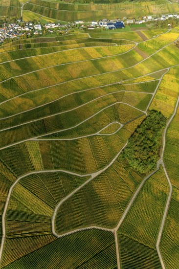 Aerial photo, wine-growing region Moselle Luxembourg, vineyards, Wellenstein, Saarland, Grevenmacher, Luxembourg, Europe, birds-eyes view, aerial photography, aerial photography, overview, overview, bird's eye view