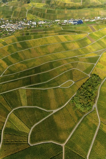 Aerial photo, wine-growing region Moselle Luxembourg, vineyards, Wellenstein, Saarland, Grevenmacher, Luxembourg, Europe, birds-eyes view, aerial photography, aerial photography, overview, overview, bird's eye view