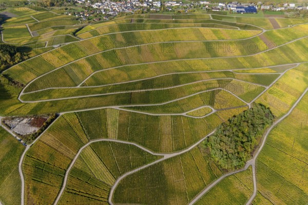 Aerial photo, wine-growing region Moselle Luxembourg, vineyards, Schwebsingen, Saarland, Grevenmacher, Luxembourg, Europe, birds-eyes view, aerial photography, aerial photography, overview, overview, bird's eye view