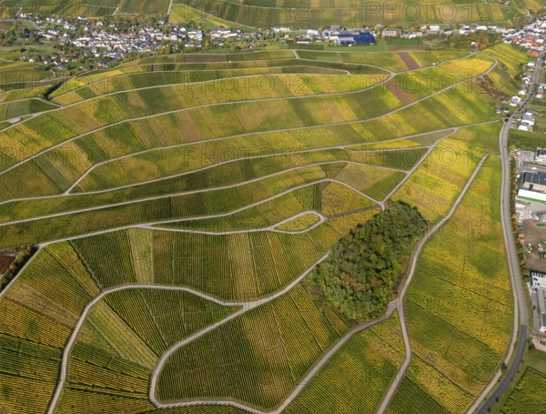 Aerial photo, wine-growing region Moselle Luxembourg, vineyards, Schwebsingen, Saarland, Grevenmacher, Luxembourg, Europe, birds-eyes view, aerial photography, aerial photography, overview, overview, bird's eye view