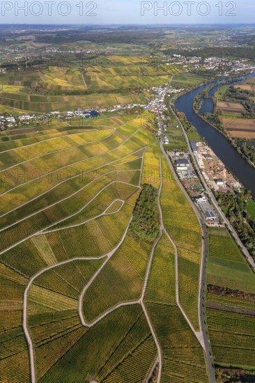 Aerial photo, wine-growing region Moselle Luxembourg, vineyards, Wellenstein, Saarland, Grevenmacher, Luxembourg, Europe, birds-eyes view, aerial photography, aerial photography, overview, overview, bird's eye view