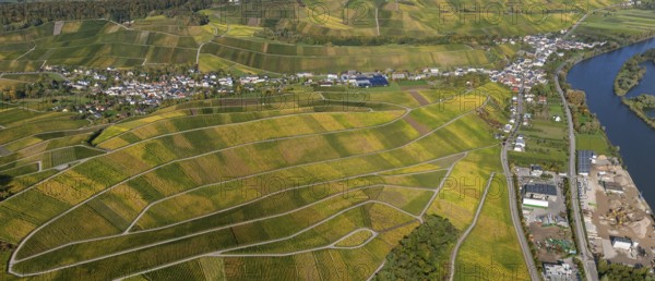 Aerial photo, wine-growing region Moselle Luxembourg, vineyards, Schwebsingen, Saarland, Grevenmacher, Luxembourg, Europe, birds-eyes view, aerial photography, aerial photography, overview, overview, bird's eye view