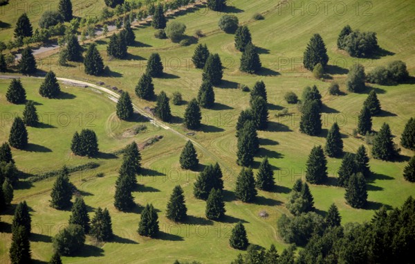Aerial photograph, Schwarzenborn camp, tree meadow, Schwarzenborn, Hesse, Germany, Europe Aerial photograph : Hans Blossey Flight date: 31/08/2008 copyright: hans@blossey.eu, Stadtplanung Stadtplanung Wirtschaft