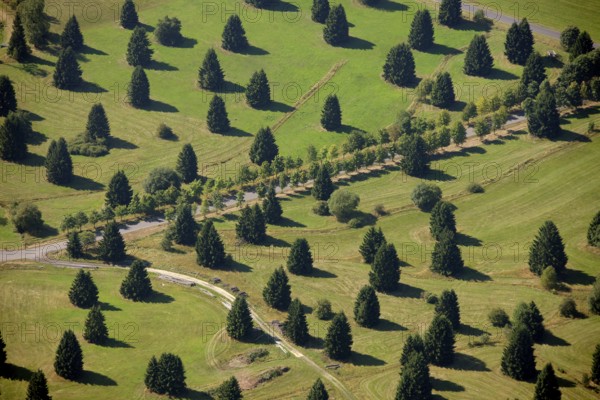 Aerial photograph, Schwarzenborn camp, tree meadow, Schwarzenborn, Hesse, Germany, Europe Aerial photograph : Hans Blossey Flight date: 31/08/2008 copyright: hans@blossey.eu, Stadtplanung Stadtplanung Wirtschaft