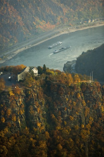 The Loreley, Lorelei, slate cliffs in the UNESCO World Heritage Upper Middle Rhine Valley near Sankt Goarshausen, Rhine Valley, Rhine, inland navigation, Rhine meanders, shallows, autumn leaves, Sankt Goar, Rhineland-Palatinate, Germany, Europe, aerial view, birds-eyes view, aerial photography, aerial photography, overview, bird's eye view