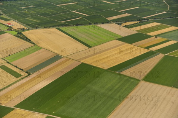 Fields near Mörstadt, agriculture, agriculture, Worms, Rhineland-Palatinate, Germany, Mörstadt, Europe, aerial view, birds-eyes view, aerial photography, aerial photography, overview, overview, bird's eye view