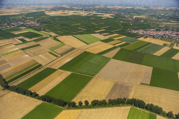Fields near Mörstadt, agriculture, agriculture, villages, Worms, Rhineland-Palatinate, Germany, Mörstadt, Europe, aerial view, birds-eyes view, aerial photography, aerial photography, overview, overview, bird's eye view