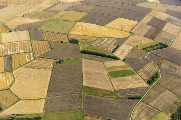 Harvested fields, small fields from inheritance divisions, agriculture, Aarbergen, Hesse, Germany, Europe, aerial view, birds-eyes view, aerial photography, aerial photography, overview, bird's eye view