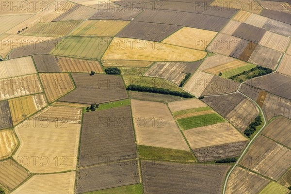 Harvested fields, small fields from inheritance divisions, agriculture, Aarbergen, Hesse, Germany, Europe, aerial view, birds-eyes view, aerial photography, aerial photography, overview, bird's eye view