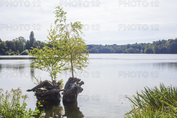 Outer mill pond in Harburg City Park, Harburg, Hamburg, Germany