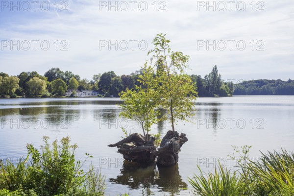 Outer mill pond in Harburg City Park, Harburg, Hamburg, Germany