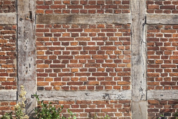 Brick wall and wooden beams on a half-timbered house in the historic centre of Harburg, Harburg, Hamburg, Germany
