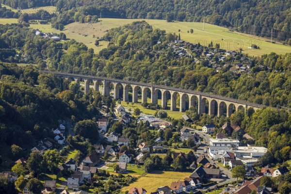 Aerial view, railway viaduct, Altenbeken, Ostwestfalen-Lippe, North Rhine-Westphalia, Germany, railway tracks, DE, Europe, aerial view, aerial photography, aerial photography, OLWBUCH, OWL, OWL-Buch, Ostwestfalen, sight, overview, viaduct, bird's-eye view, forest area, birds-eyes view, overview