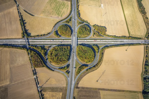 Aerial view, motorway junction Erwitte Anröchte, motorway A44, federal road B55, Anröchte, district Soest, North Rhine-Westphalia, Germany, B & W Deloitte GmbH, DE, Europe, shapes and colours, green trees, green areas, district Soest-Buch, district Soest-Buch, aerial view, aerial photography, aerial photography, road traffic, overview, traffic volume, bird's-eye view, meadows and fields, birds-eyes view, overview, motorway junction Anröchte
