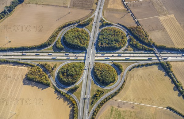 Aerial view, motorway junction Erwitte Anröchte, motorway A44, federal road B55, Anröchte, district Soest, North Rhine-Westphalia, Germany, B & W Deloitte GmbH, DE, Europe, shapes and colours, green trees, green areas, district Soest-Buch, district Soest-Buch, aerial view, aerial photography, aerial photography, road traffic, overview, traffic volume, bird's-eye view, meadows and fields, birds-eyes view, overview, motorway junction Anröchte