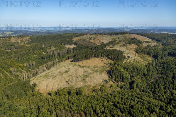 Aerial photo, forest dieback, Teutoburg Forest, Salzmannweg, Buke, Altenbeken, East Westphalia-Lippe, North Rhine-Westphalia, Germany, forestation, DE, Europe, distant view, aerial view, aerial photography, aerial photography, OLWBUCH, OWL, OWL-Buch, East Westphalia, overview, bird's-eye view, forest, forest area, forest damage, birds-eyes view, overview