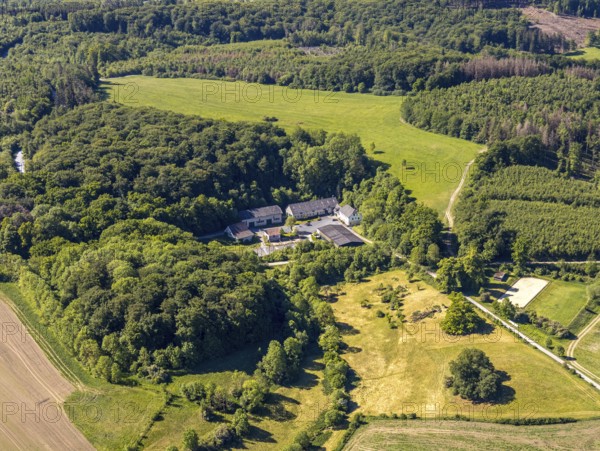 Aerial view, Gut Stiepel, Stiepeler Straße, riding school, Arnsberg, Sauerland, Hochsauerlandkreis, North Rhine-Westphalia, Germany, DE, Europe, aerial view, aerial photography, aerial photography, equestrian sports, equestrian centre, riding stable, overview, bird's eye view, forest area, meadows and fields, birds-eyes view, overview
