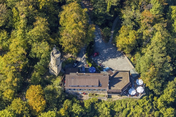 Aerial view, Iburg, Kaiser-Karls-Turm, Sachsenklause, Bad Driburg, Ostwestfalen-Lippe, North Rhine-Westphalia, Germany, beer garden, castle, café, DE, Eggegebirge, Europe, inn, gastronomy, Höhenburg, aerial view, aerial photography, aerial photography, OLWBUCH, OWL, OWL-Buch, East Westphalia, restaurant, ruin, tower, overview, bird's-eye view, forest area, birds-eyes view, historical sight, overview