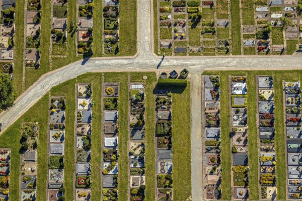 Aerial view, cemetery Lange Straße, Bad Driburg, Ostwestfalen-Lippe, North Rhine-Westphalia, Germany, burial site, DE, Europe, shapes and colours, cemetery, memorial, Gottesacker, graves, burial ground, aerial photograph, aerial photography, aerial photography, OLWBUCH, OWL, OWL-Buch, Ostwestfalen, resting place, overview, bird's-eye view, overview, urn graves, rows of graves, urn field