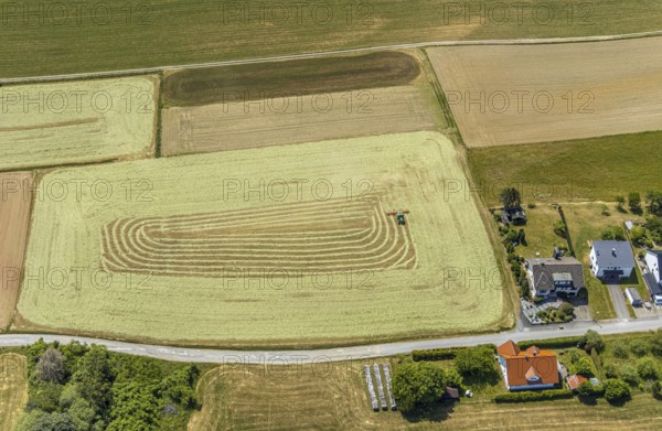 Aerial view, agricultural fields, hay harvest, tractor mowing meadow, Liboriweg, Balve, Sauerland, North Rhine-Westphalia, Germany, DE, Europe, shapes and colours, agriculture, aerial photography, aerial photography, aerial photography, overview, bird's-eye view, meadows and fields, birds-eyes view, overview