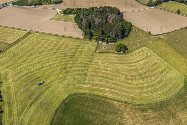 Aerial view, agricultural fields, tractor mowing meadow, Langenholthausen, Balve, Sauerland, North Rhine-Westphalia, Germany, DE, Europe, shapes and colours, agriculture, aerial view, aerial photography, aerial photography, overview, bird's-eye view, meadows and fields, birds-eyes view, overview