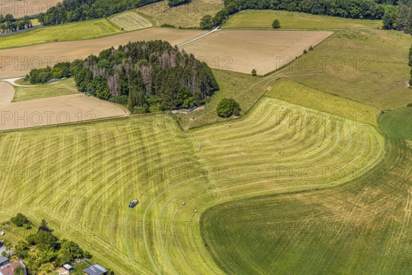 Aerial view, agricultural fields, tractor mowing meadow, Langenholthausen, Balve, Sauerland, North Rhine-Westphalia, Germany, DE, Europe, shapes and colours, agriculture, aerial view, aerial photography, aerial photography, overview, bird's-eye view, meadows and fields, birds-eyes view, overview