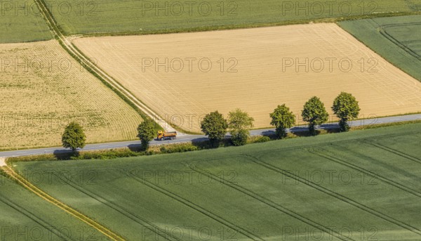 Aerial view, row of trees on a country road, near Garbeck, Balve, Sauerland, North Rhine-Westphalia, Germany, DE, Europe, green trees, aerial view, aerial photography, aerial photography, overview, bird's-eye view, meadows and fields, birds-eyes view, overview
