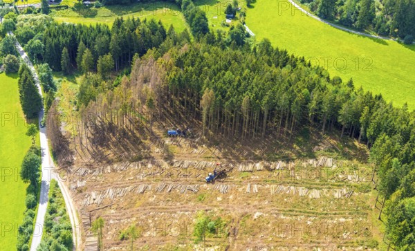 Aerial photo, deforestation, harvester, nature reserve Eidmecketalsystem, Bestwig, Sauerland, North Rhine-Westphalia, Germany, deforestation, Arnsberg forest, tree trunks, DE, Europe, aerial photo, aerial photography, aerial photography, mixed forest, nature reserve Schlebornbach-Düstere Siepen, overview, bird's eye view, forest, forest area, forest damage, forest dieback, birds-eyes view, overview, timber industry, forestry, forestry, too dry summer, spruce stand