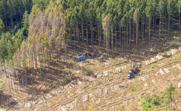 Aerial photo, deforestation, harvester, nature reserve Eidmecketalsystem, Bestwig, Sauerland, North Rhine-Westphalia, Germany, deforestation, Arnsberg forest, tree trunks, DE, Europe, aerial photo, aerial photography, aerial photography, mixed forest, nature reserve Schlebornbach-Düstere Siepen, overview, bird's eye view, forest, forest area, forest damage, forest dieback, birds-eyes view, overview, timber industry, forestry, forestry, too dry summer, spruce stand