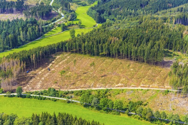 Aerial photo, deforestation, harvester, nature reserve Eidmecketalsystem, Bestwig, Sauerland, North Rhine-Westphalia, Germany, deforestation, Arnsberg forest, tree trunks, DE, Europe, aerial photo, aerial photography, aerial photography, mixed forest, nature reserve Schlebornbach-Düstere Siepen, overview, bird's eye view, forest, forest area, forest damage, forest dieback, birds-eyes view, overview, timber industry, forestry, forestry, too dry summer, spruce stand