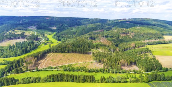 Aerial photo, deforestation, harvester, nature reserve Eidmecketalsystem, Bestwig, Sauerland, North Rhine-Westphalia, Germany, deforestation, Arnsberg forest, tree trunks, DE, Europe, aerial photo, aerial photography, aerial photography, mixed forest, nature reserve Schlebornbach-Düstere Siepen, overview, bird's eye view, forest, forest area, forest damage, forest dieback, birds-eyes view, overview, timber industry, forestry, forestry, too dry summer, spruce stand