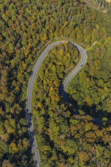 Aerial view, serpentine road in forest area, north of Jakobsberg, Beverungen, East Westphalia-Lippe, North Rhine-Westphalia, Germany, DE, Europe, autumn colours, state road L838, aerial view, aerial photography, aerial photography, OLWBUCH, OWL, OWL-Buch, East Westphalia, serpentine shape, road traffic, overview, bird's-eye view, birds-eyes view, autumn forest, overview