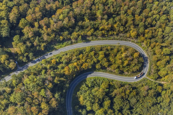 Aerial view, serpentine road in forest area, north of Jakobsberg, Beverungen, East Westphalia-Lippe, North Rhine-Westphalia, Germany, DE, Europe, autumn colours, state road L838, aerial view, aerial photography, aerial photography, OLWBUCH, OWL, OWL-Buch, East Westphalia, serpentine shape, road traffic, overview, bird's-eye view, birds-eyes view, autumn forest, overview