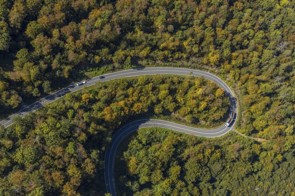 Aerial view, serpentine road in forest area, north of Jakobsberg, Beverungen, East Westphalia-Lippe, North Rhine-Westphalia, Germany, DE, Europe, autumn colours, state road L838, aerial view, aerial photography, aerial photography, OLWBUCH, OWL, OWL-Buch, East Westphalia, serpentine shape, road traffic, overview, bird's-eye view, birds-eyes view, autumn forest, overview